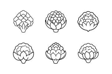 cauliflower icon line art vector illustration