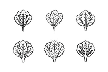 kale icon line art vector illustration