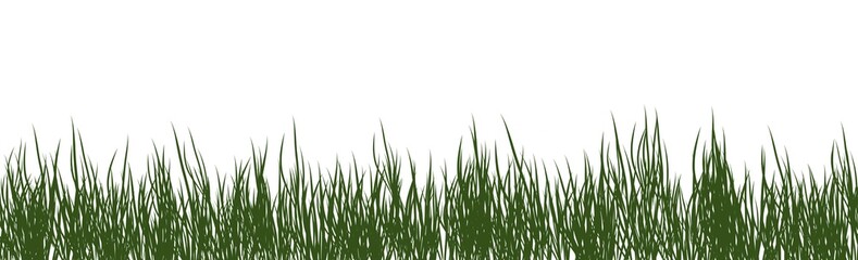 Digitally rendered grass isolated on white background