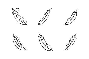 Fototapeta premium peas line art vector illustration