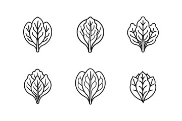 spinach icon line art vector illustration