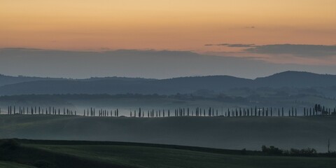 Hilly landscape with cypresses (Cupressus), morning light, Tuscany, Siena province, Italy, Europe