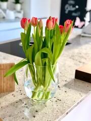 tulips in a vase