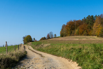 Wanderweg zu der Schaarwiese in der Sächsischen Schweiz