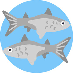 Pollock is a key fish species found in Alaska’s waters, known for its mild flavor and commonly used in fish fillets, surimi, and fast food.