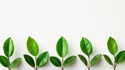elegant line of vibrant green leaves against a serene neutral background, symbolizing growth and connection