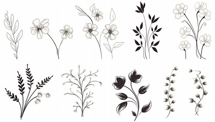 Obraz premium black and white flowers