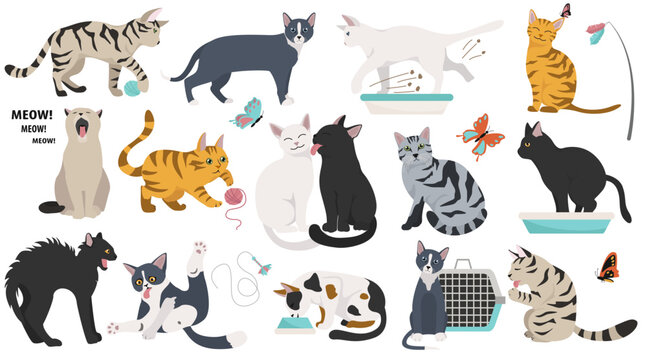 Cartoon cat characters collection. Different cat`s poses, yoga and emotions set. Flat color simple style design. Vector illustration