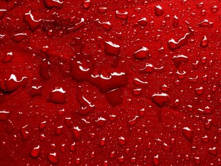 Water drops on web safe red color metallic surface