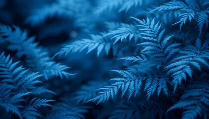 Blue nature background. Toned fern leaves. Background for design