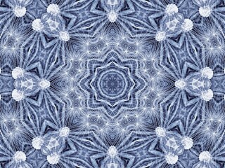 Background with abstract radial pattern of natural large dandelion flower