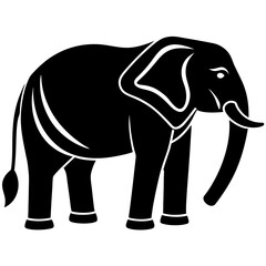 elephant illustration