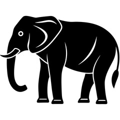 elephant illustration
