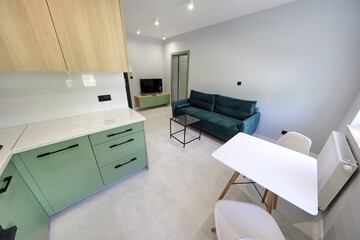 Kuchnia w nowoczesnym apartamencie w kolorze seledynowym i jasno brązowym