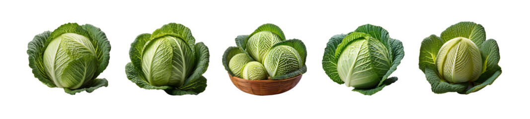 Fototapeta premium Cabbage transparent background
