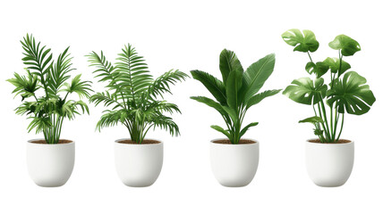 Fototapeta premium Indoor plants in modern white pots arranged neatly on a shelf in a bright room