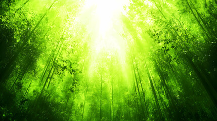 Sunlit Bamboo Forest, Mystical Scene