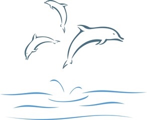 Dolphins swimming and jumping out of the water in sea