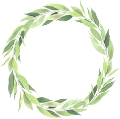 Watercolor green laurel leaf illustration