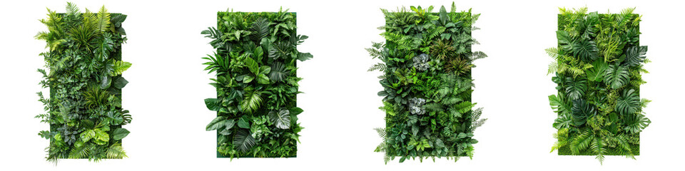 Vertical green wall covered in a dense arrangement of various thriving lush and vibrant plant species creating a natural eco friendly and biophilic design element for indoor and outdoor spaces