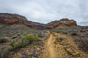 View from Plateau Point in the gorge of the Grand Canyon to the South Rim, hiking trail Bright Angel Trail, eroded rock landscape, Grand Canyon National Park, Arizona, USA, North America