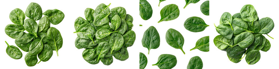 Fototapeta premium Lush and Vibrant Fresh Green Leafy Vegetables and Foliage in Natural Studio Setting Healthy Organic Food Nutrition and Lifestyle Concept