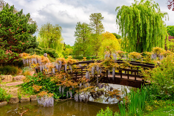 Regent's park landscape in spring, London, UK