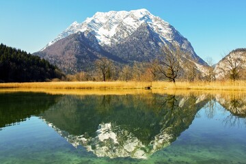 Naklejka premium Grimming mountain reflected in the lake in spring, Trautenfels near Liezen, Styria, Austria, Europe