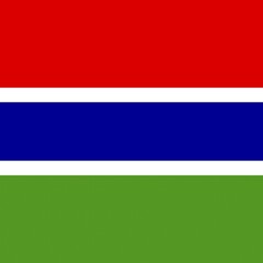 Official national flag of Gambia
