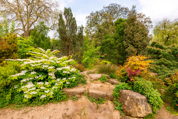 Regent's park landscape in spring, London, UK