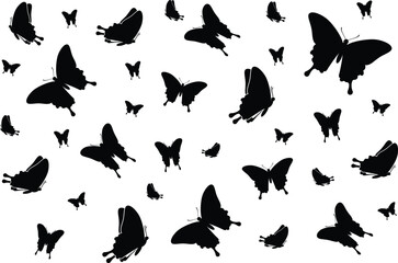 Obraz premium Butterfly Shilouette Background