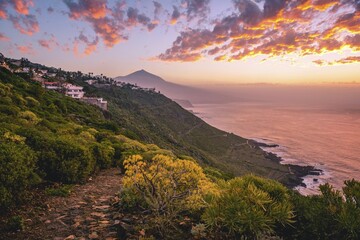 View of Pico del Teide at sunset, north coast Tenerife, Mirador de Las Breñas, El Sauzal, near...