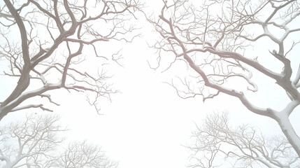 Snowy branches frame winter sky; nature backdrop