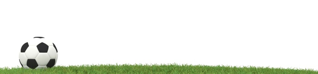 Fototapeta premium Soccer ball on grass panorama background with space for text, 3d rendering