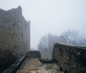 Abandoned castle walls surrounded by dense fog and barren trees in a haunting Black Forest setting,...