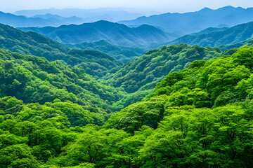 Fototapeta premium Lush green mountain range landscape