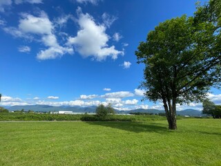 field and blue sky