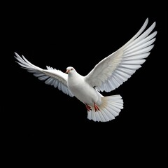 Fototapeta premium Close-up of a dove in mid-flight against a black backdrop, inspiration, silhouette, purity, contrast, beauty