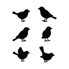 This image features four different bird silhouettes, presented in a grid pattern against a plain white background