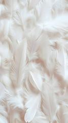 Obraz premium Soft white feathers background texture