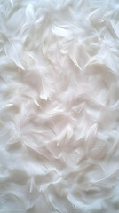 Obraz premium Soft white feathers texture background