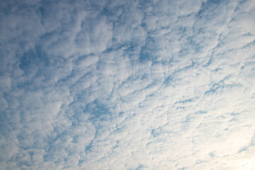 Sky blue and white big hunk lump cloud with light orange sun beautiful with bright sunlight nature background. Space to enter text. Take photo panorama. Abstract texture background.