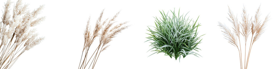 Fototapeta premium Elegant Pampas Grass and Autumn Foliage Arrangement in Natural Landscape Setting