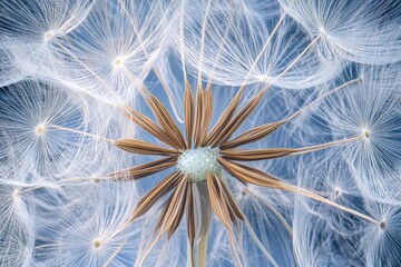 Close up of a vibrant dandelion on a striking blue background