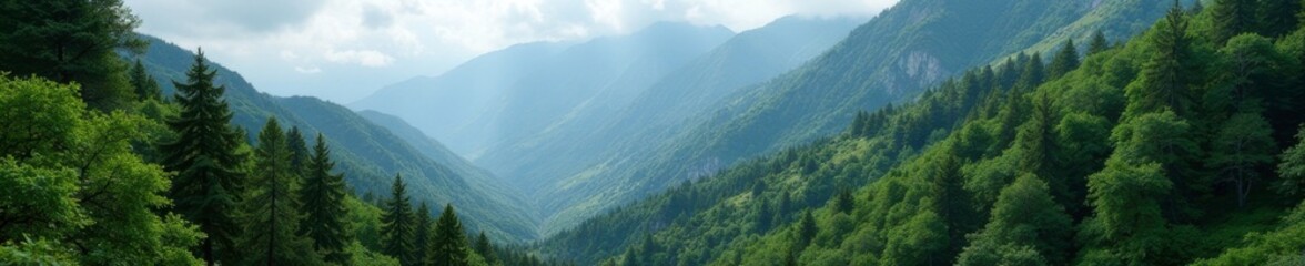 Obraz premium Towering trees engulf the mountain's upper slopes, nature reserve, dense vegetation