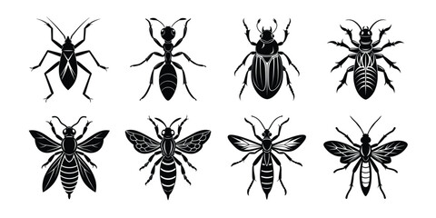 Set of insects silhouettes. Vector illustrations poisonous insects isolated on white background