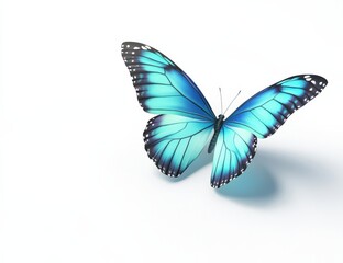 A beautiful blue butterfly is gracefully flying on a white background