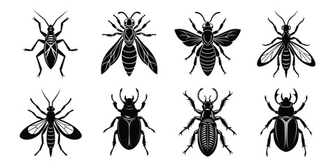 Set of insects silhouettes. Vector illustrations poisonous insects isolated on white background