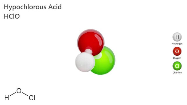 Hypochlorous Acid. Animated 3D model of a molecule. Molecular formula: HOCl. Chemical model: Ball and sticks. White background. 3D rendering. Seamless loop.