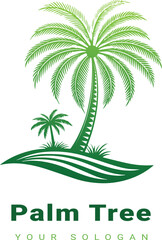 Vector beautiful palm tree design with white background 